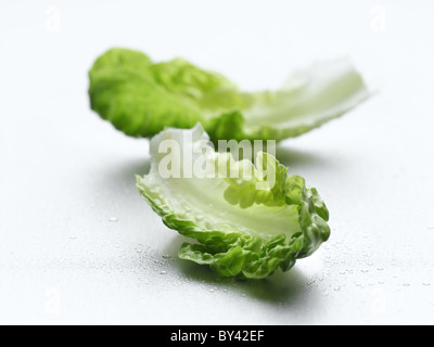 Cos-Salat Stockfoto