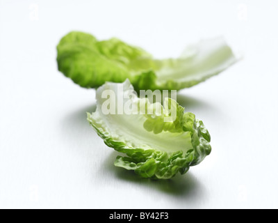 Cos-Salat Stockfoto