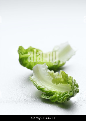 Cos-Salat Stockfoto