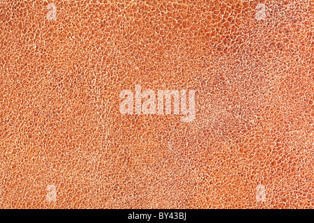 Bildstruktur braune Haut. Stockfoto