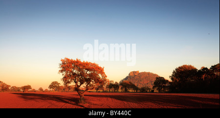 Beeston Castle in einer November-Dämmerung Stockfoto