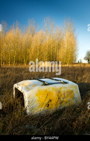 Ein Pickup, LKW, Taxi geworfen in einem Feld Ungräser/mit Bäumen im Hintergrund genommen bei Sonnenaufgang mit einem klaren blauen Himmel oben Stockfoto