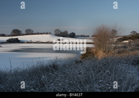 Schneefall auf heimischen Feldern und zugefrorenen Teich im Park Wrexham Borras Stockfoto