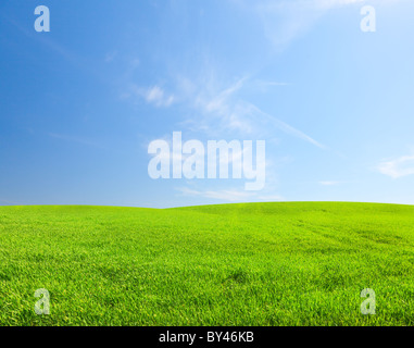 Grünen Wiese unter blauem Himmel bewölkt Stockfoto