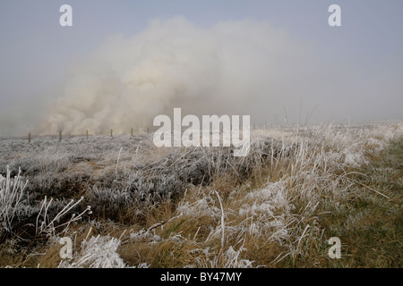 Die steigenden Rauch aus Heidelandschaft brennen An einem frostigen Morgen auf der North York Moors. Stockfoto