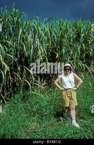 Die Französin, Französisch, erwachsene Frau, Frau, Zuckerrohr Plantage, Sainte-rose, Basse-terre, Basse-terre Island, Guadeloupe, Französische Antillen, Frankreich Stockfoto