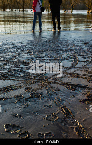 Schlamm am Ufer des Flusses Rhein nach Hochwasser Hochwasser in der Nähe von Karlsruhe Deutschland Stockfoto