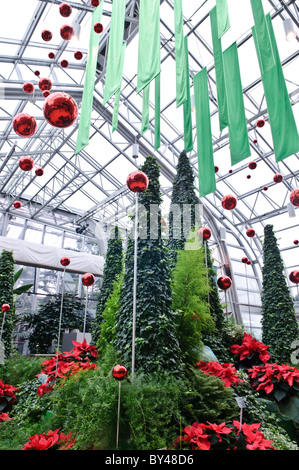 MONTREAL, Kanada – Bäume sind zu Weihnachten im Botanical Garden von Montreal dekoriert, einem der weltweit größten botanischen Innengärten mit verschiedenen Umgebungen, von Orchideen über Gewürze bis hin zu Kakteen. Stockfoto