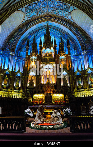 Hochaltar der Basilika Notre-Dame Montreal Winter | MONTREAL, Quebec — Der beleuchtete Hochaltar der Basilika Notre-Dame de Montreal, entworfen von Victor Bourgeau und in den 1870er Jahren fertiggestellt, erhebt sich hinter einem Weihnachtsstall, der auf den Stufen des Altarraums aufgestellt ist. Der neugotische Retabel, vollständig aus weißem Kiefer geschnitzt und bemalt, um Stein zu simulieren, reicht bis zu einer gewölbten Decke, die in tiefem Blau und Gold gehalten ist – das Farbschema, das gewählt wurde, um den Nachthimmel und das himmlische Jerusalem zu evozieren. Stockfoto