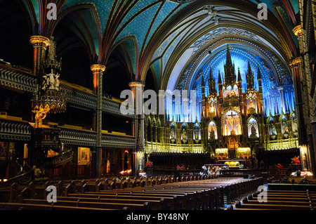 MONTREAL, Kanada – das reich verzierte Innere der Basilika Notre-Dame zeigt außergewöhnliche, im gotischen Stil erbaute Architektur und dekorative Kunst. Die Basilika war einst die größte Kirche Nordamerikas, als sie in den 1840er Jahren fertiggestellt wurde. Sie verfügt über eine dramatische Innenbeleuchtung, komplizierte Holzschnitzereien und eine massive Pfeifenorgel mit 9.000 Pfeifen. Die tiefblaue Gewölbedecke des Heiligtums mit goldenen Sternen schafft eine himmlische Atmosphäre über dem aufwendig geschnitzten Hauptaltar. Stockfoto