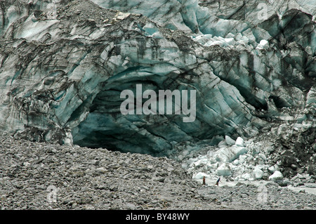 Der Franz Josef Gletscher 12 km langen Westland Nationalpark Südinsel Neuseelands. Stockfoto