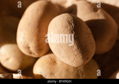 Kartoffeln aus Entracque, Piemont, Italien Stockfoto