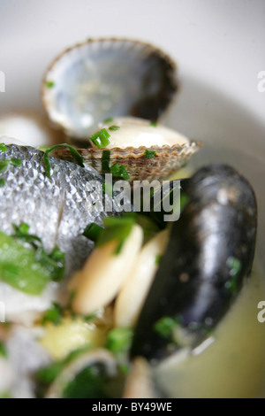 LEICHT POCHIERT AUSWAHL AN FISCH UND MEERESFRÜCHTEN MIT BUTTERBOHNEN UND KRÄUTERN IM NEWPORT RESTAURANT YACHTAUSRÜSTER. Stockfoto