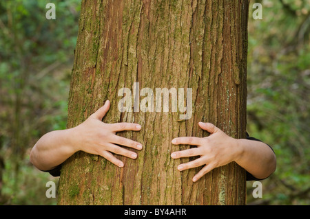 Eine Person umarmt einen großen Baum Stockfoto
