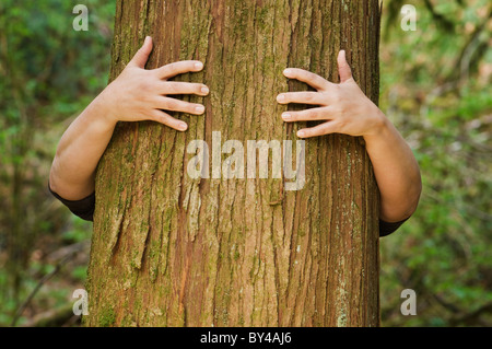 Eine Person umarmt einen großen Baum Stockfoto