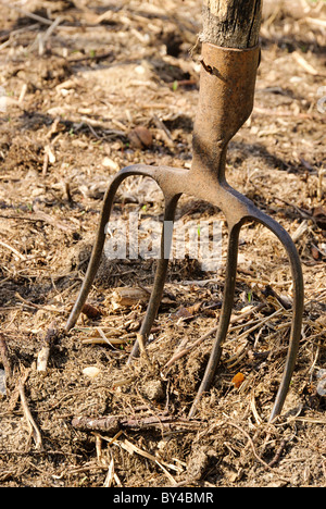 Mistgabel - Heugabel 01 Stockfoto