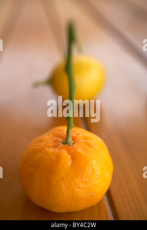 Satsuma und Zitrone Stockfoto