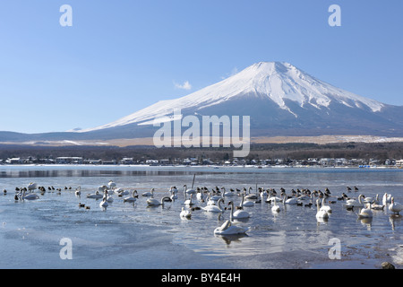 Lake Yamanaka und Mt. Fuji, Yamanashi Präfektur, Honshu, Japan Stockfoto