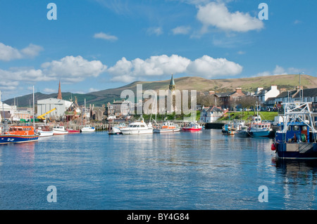 Angeln und Boote im Hafen von Girvan South Ayrshire, Schottland Stockfoto