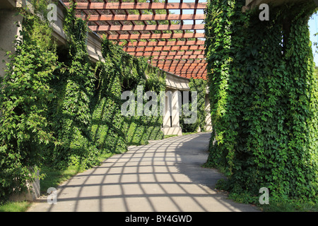 Pergola in der Nähe von Centennial Hall, Breslau, Niederschlesien, Polen. Stockfoto