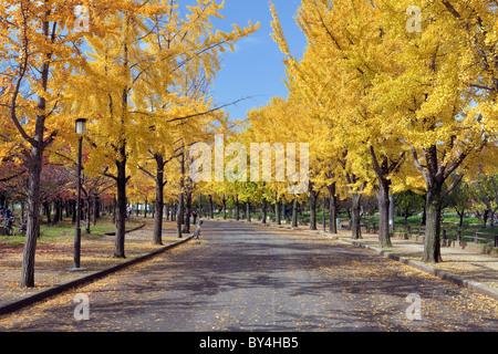 Osaka Castle Park im Herbst Stockfoto