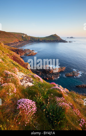 Frühen Sommerabend auf die rührende in der Nähe von Cape Cornwall mit Blick auf Kenidjack Stockfoto