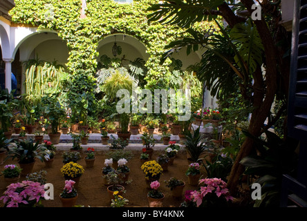 SPANISCHEN INNENHOF GEFÜLLT MIT BUNTEN PFLANZEN UND BLUMEN Stockfoto