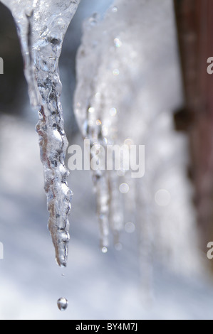 Eiszapfen Stockfoto