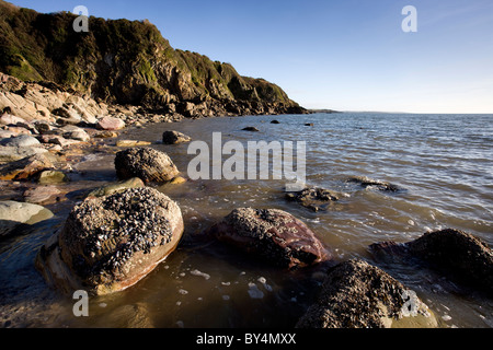 Ravenshall Punkt, Dumfries and Galloway, Schottland Stockfoto