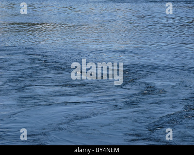 Saltstraumen, der stärkste Mælstrom der Welt, in der Nähe von Bodø, Nordland, Arktis Norwegen. Stockfoto