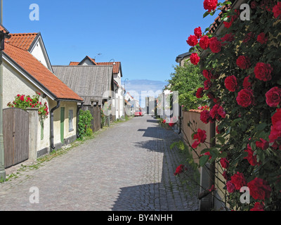 Rosen und Häuser auf einem mittelalterlichen Backstreet, Visby, Gotland, Schweden. Stockfoto