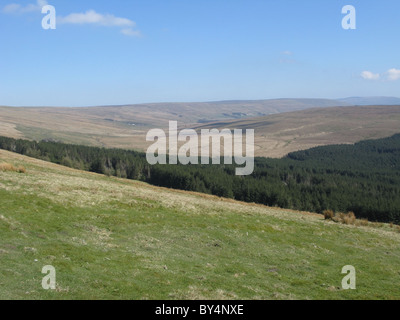 Blick hinunter oughtershaw Moos und oberen langstrothdale von Cam fiel, Yorkshire Dales National Park, North Yorkshire, England, UK. Stockfoto