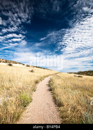 Bei Devil es Backbone, Loveland Colorado Trail Stockfoto