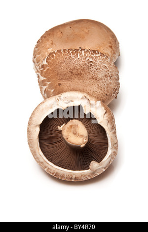 Portobello-Pilze isoliert auf einem weißen Studio-Hintergrund. Stockfoto
