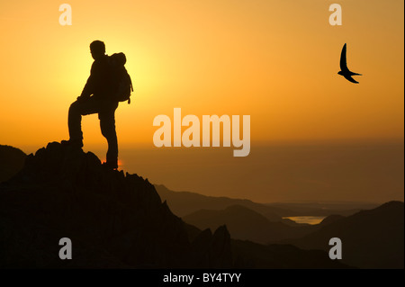 Ein Walker auf Swirl Howe Seenplatte bei Sonnenuntergang UK Stockfoto