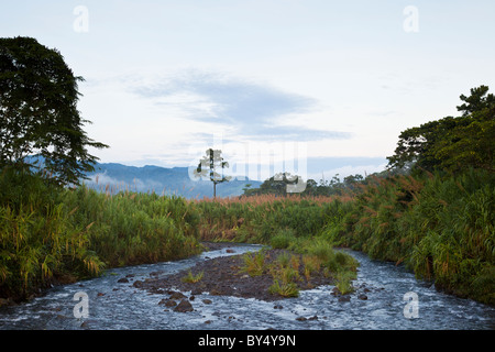 Morgennebel entlang des Flusses Tabacon in Arenal Nationalpark, Alajuela, Costa Rica. Stockfoto