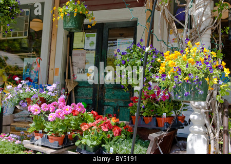 Ashfield Hard- und -Versorgungsmaterial-Speicher, mit Blumen vor für Verkauf Stockfoto