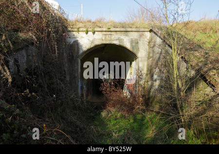 Der Eisenbahntunnel für die Stadtbahn Davington in Kent Stockfoto