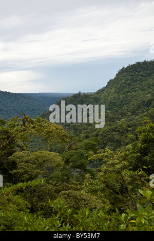 Tropischer Regenwald und Nebelwald umfassen den Braulio Carrillo Nationalpark in Provinz Heredia, Costa Rica. Stockfoto