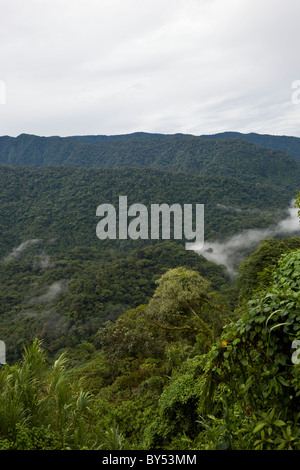 Tropischer Regenwald und Nebelwald umfassen den Braulio Carrillo Nationalpark in Provinz Heredia, Costa Rica. Stockfoto