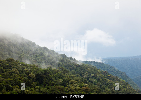 Tropischer Regenwald und Nebelwald umfassen den Braulio Carrillo Nationalpark in Provinz Heredia, Costa Rica. Stockfoto