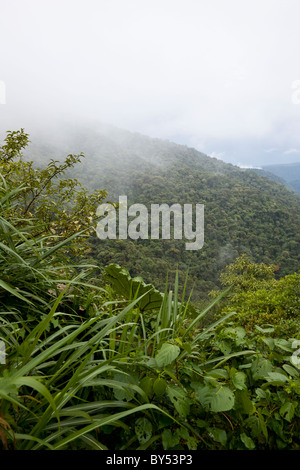 Tropischer Regenwald und Nebelwald umfassen den Braulio Carrillo Nationalpark in Provinz Heredia, Costa Rica. Stockfoto