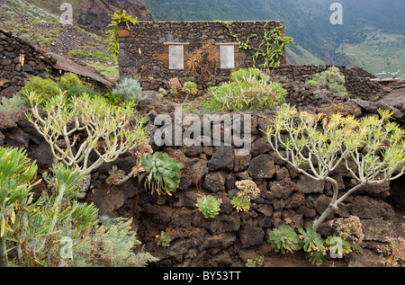 Insel El Hierro, Kanarische Inseln, Spanien. Ecomuseo de Guinea. Teil des Dorfes restaurierte das Eco-Museum in der Nähe von Frontera Stockfoto