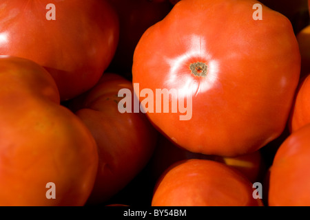 Nahaufnahme von Bio-Tomaten auf dem Bauernmarkt Coventry, Connecticut Stockfoto