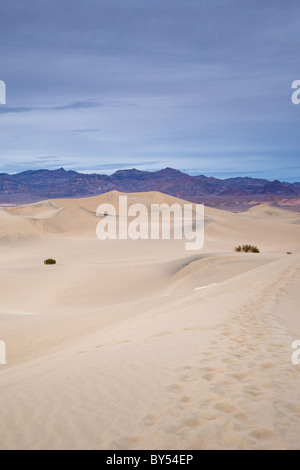 Fußspuren entlang der Mesquite flache Sanddünen mit den Amargosa-Bergen im Death Valley Nationalpark, Kalifornien, USA. Stockfoto