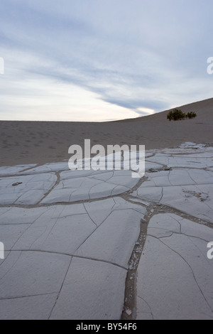 Getrocknete Schwundrissen in der alten Gewässergrund von den Mesquite flache Sanddünen im Death Valley Nationalpark, Kalifornien, USA. Stockfoto