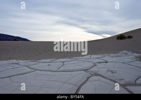 Getrocknete Schwundrissen in der alten Gewässergrund von den Mesquite flache Sanddünen im Death Valley Nationalpark, Kalifornien, USA. Stockfoto