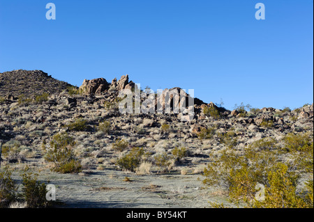 Chukar Jagdgebiet in der westlichen Mojave-Wüste in der Nähe von Barstow, Kalifornien Stockfoto