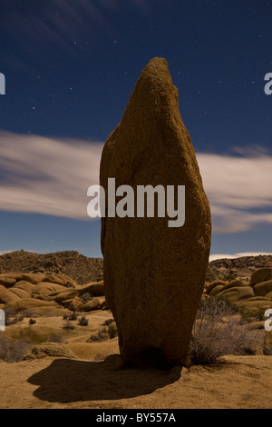 Mondlicht erhellt die Landschaft in der Nacht in der Jumbo Rocks Campground. Joshua Tree Nationalpark, Kalifornien, USA. Stockfoto