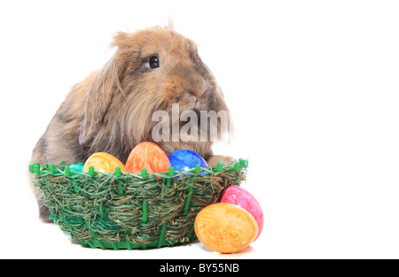 Niedliche Osterhasen mit gefärbten Eiern. Alle auf weißem Hintergrund. Stockfoto